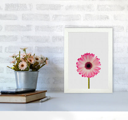 Skorter | Daisy Still Life Print By Orara Studio, Framed Botanical & Nature Art Print