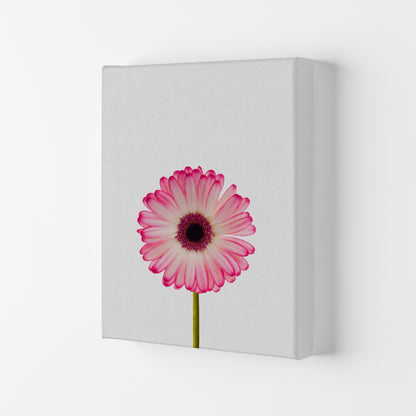 Skorter | Daisy Still Life Print By Orara Studio, Framed Botanical & Nature Art Print
