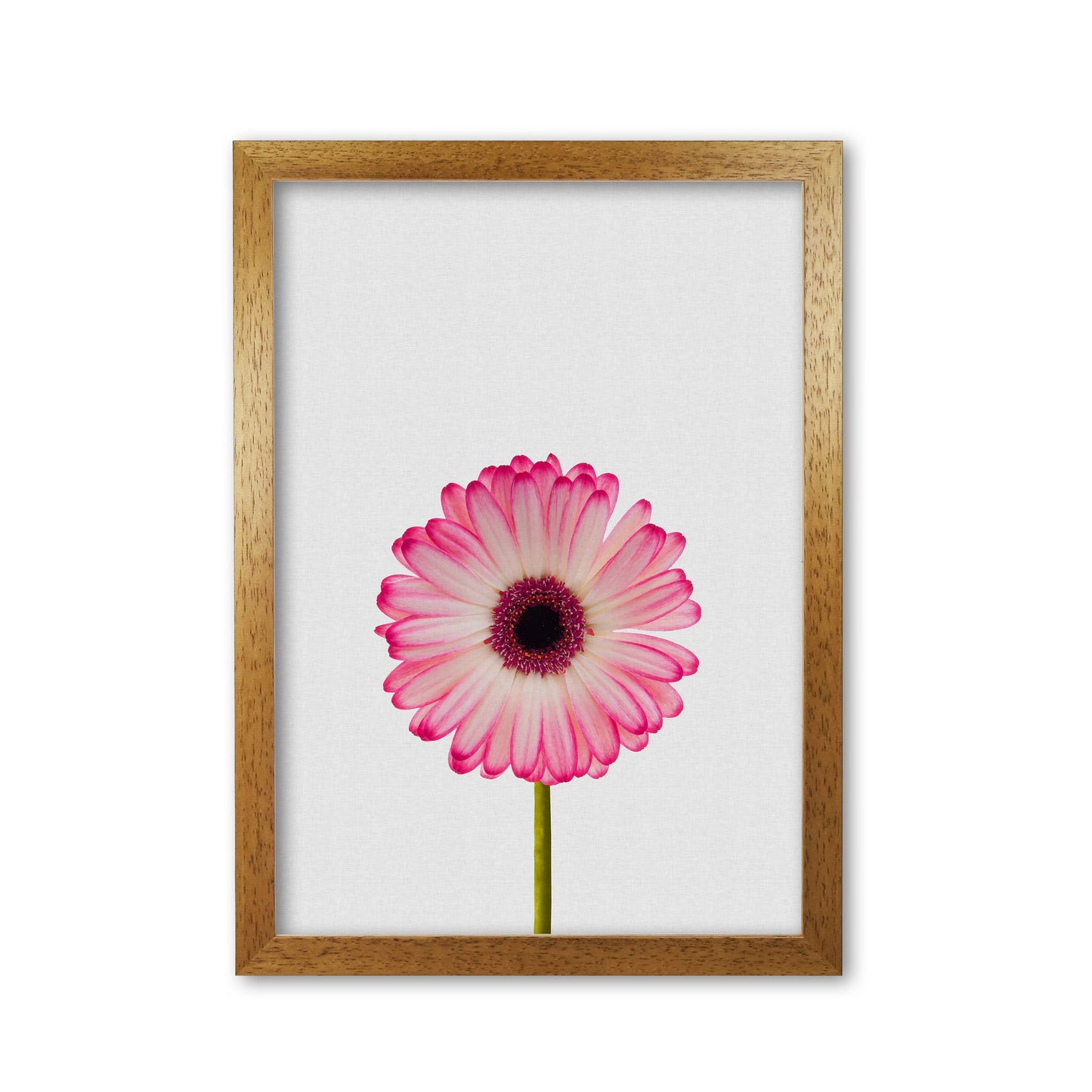 Skorter | Daisy Still Life Print By Orara Studio, Framed Botanical & Nature Art Print