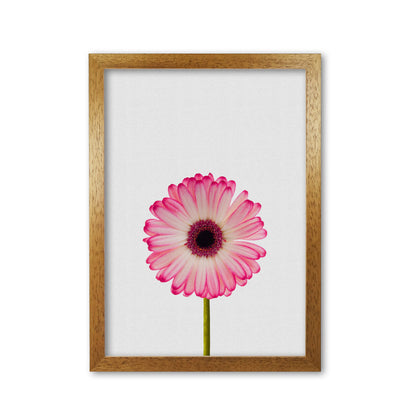 Skorter | Daisy Still Life Print By Orara Studio, Framed Botanical & Nature Art Print