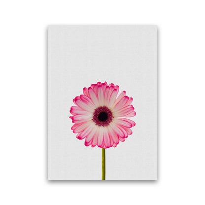 Skorter | Daisy Still Life Print By Orara Studio, Framed Botanical & Nature Art Print