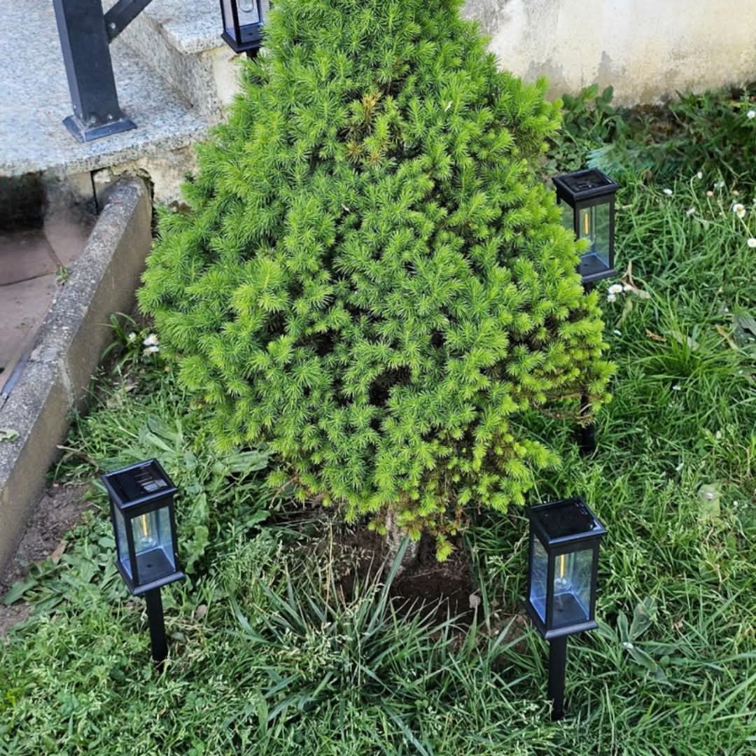 Skorter | Wireless Solar Garden Lantern – GlowPath