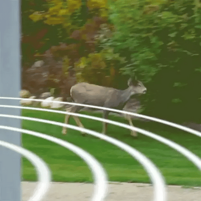 Skorter | Solar Powered Ultrasonic Rabbit Repeller with Flashing Light – Effective Pest Control for Gardens and Yards