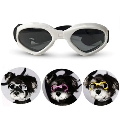Skorter | Dog Sunglasses