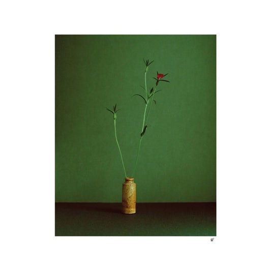 Skorter | Cornflower Print 40Cm x 50Cm