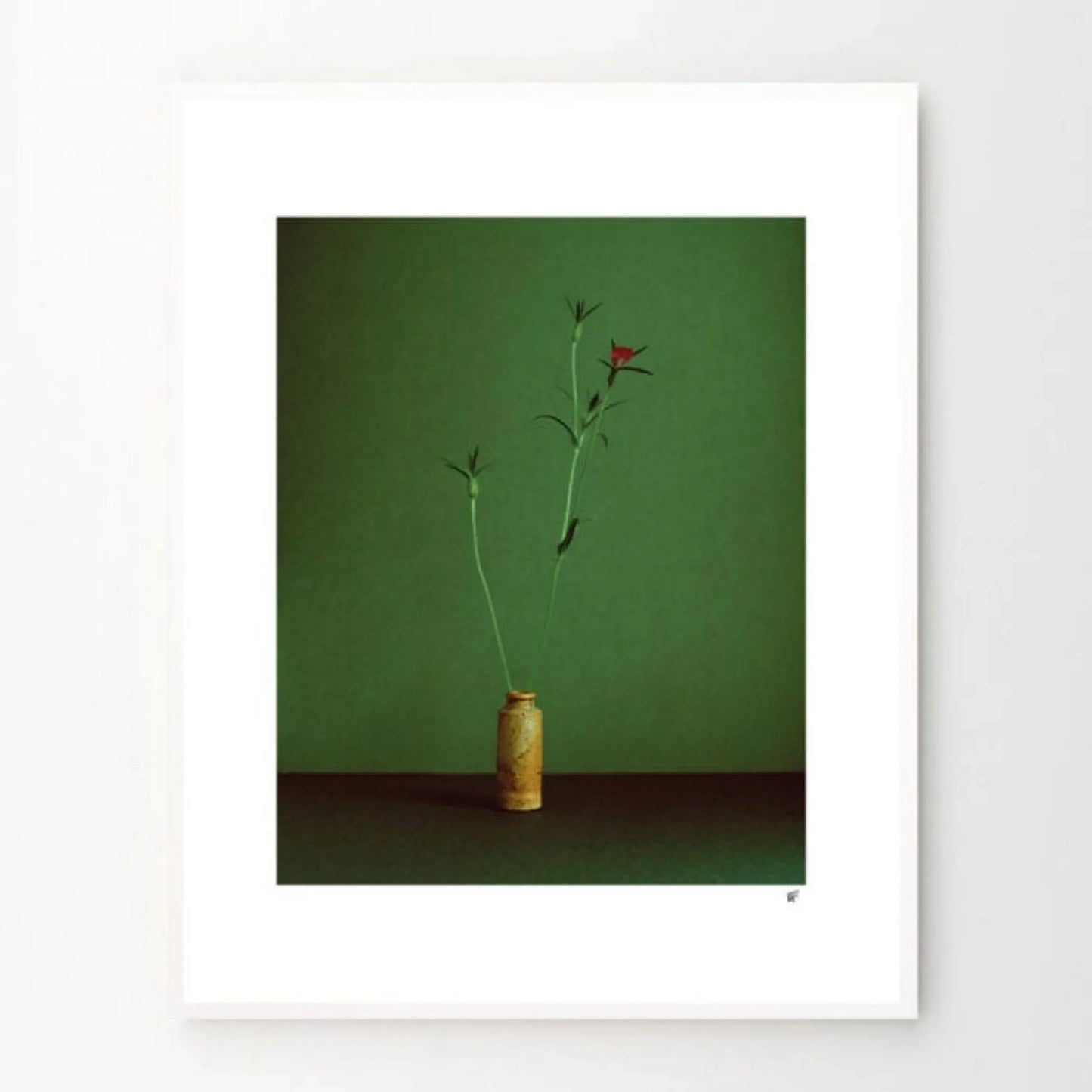 Skorter | Cornflower Print 40Cm x 50Cm