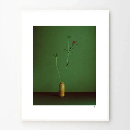 Skorter | Cornflower Print 40Cm x 50Cm