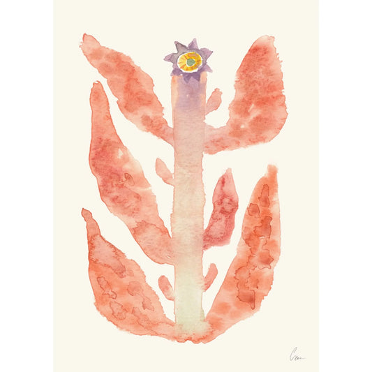 Skorter | Augusti Print 30cm x 40cm