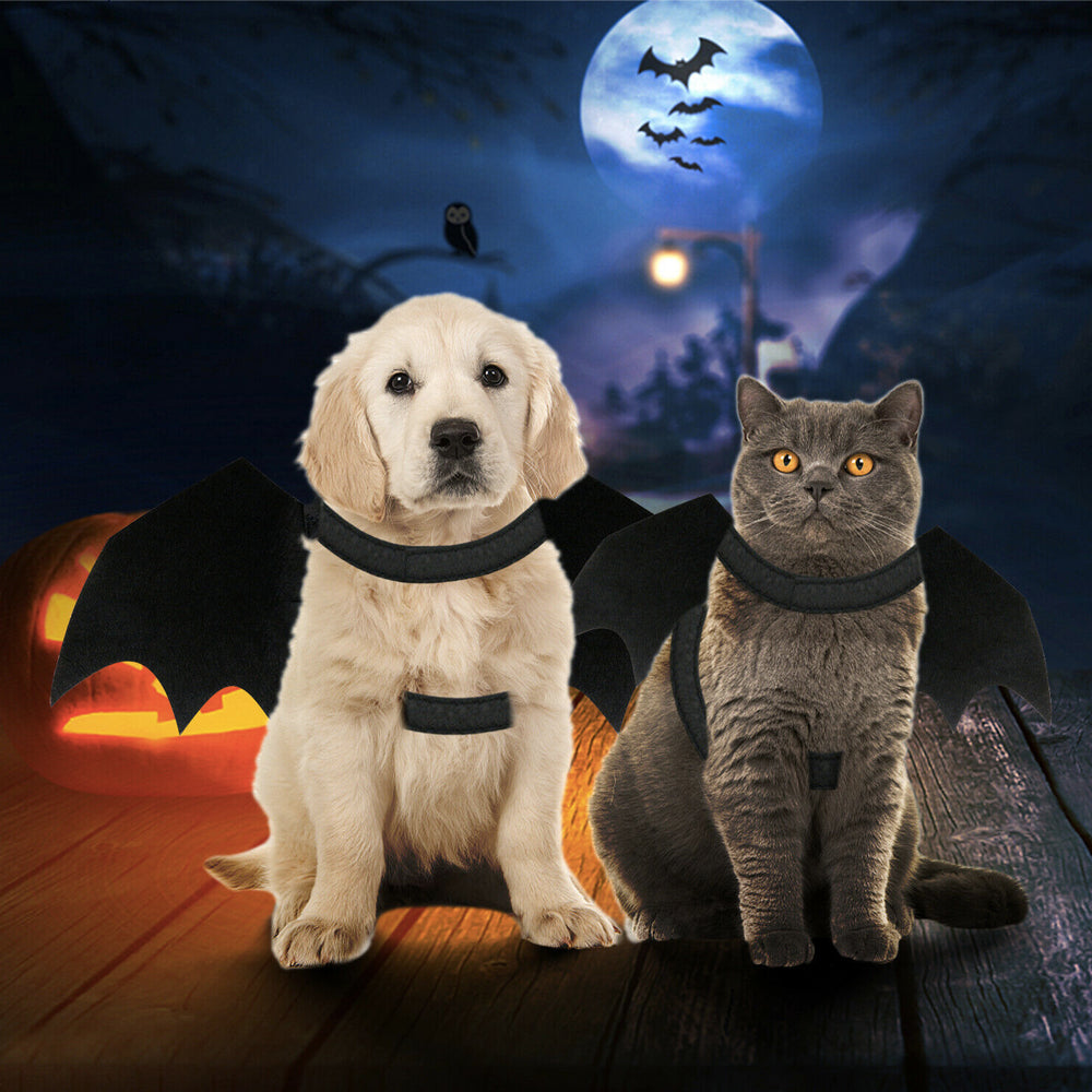 Skorter | Pet Bat Wings Costume Cat and Dogs