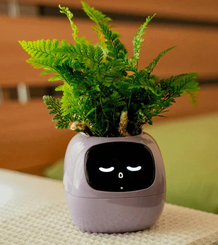 Skorter | AI flower pot