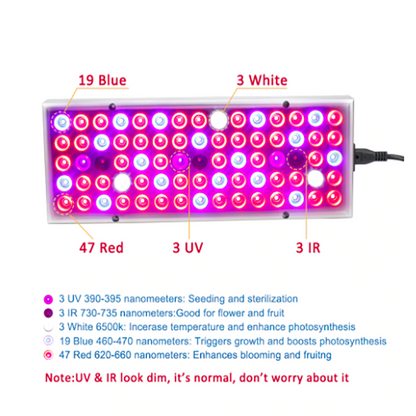 Skorter | Plant wax lamps LED plant light