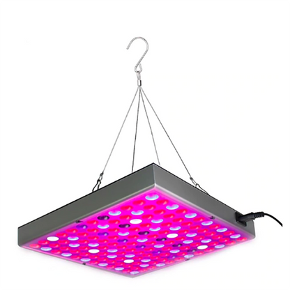 Skorter | Plant wax lamps LED plant light