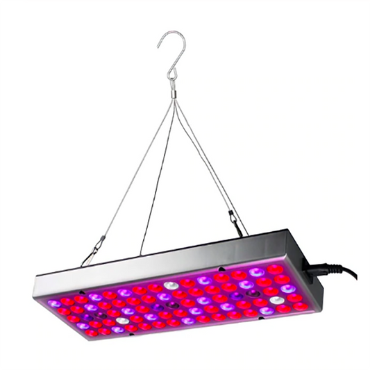 Skorter | Plant wax lamps LED plant light