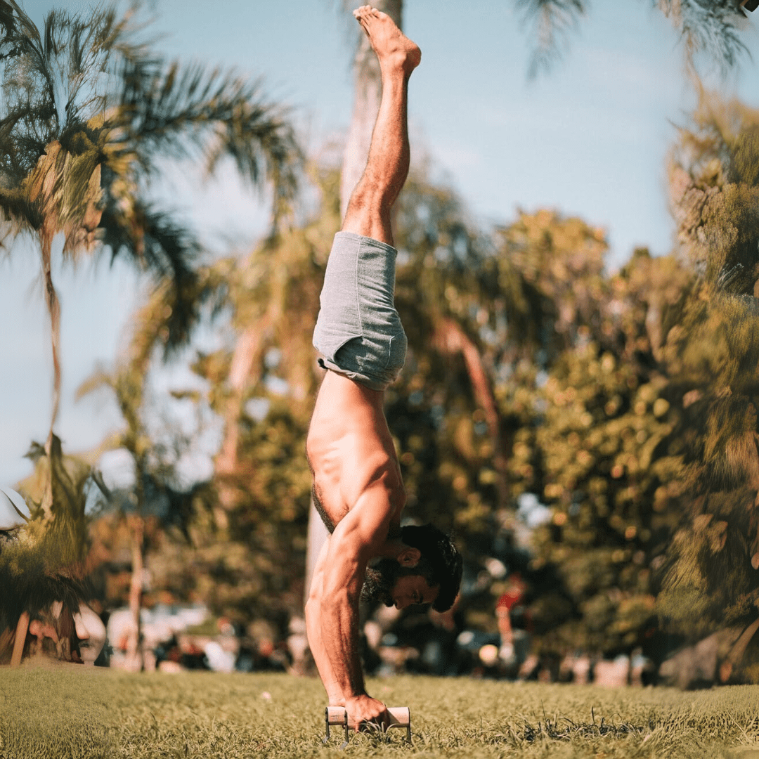 Skorter | Ergonomic wooden parallettes for safe push-up training