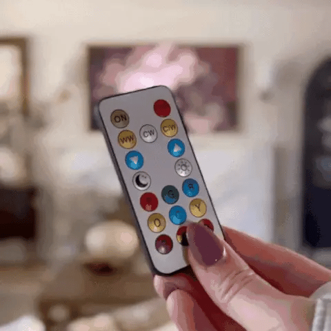 Skorter | RoyaleGlow rechargeable LED bulb - remote control, touch controlled, multicolor