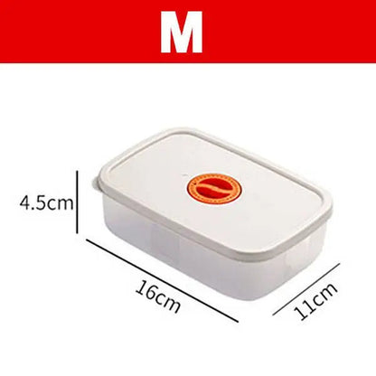 Skorter | Bento Lunchbox – Food container with compartments