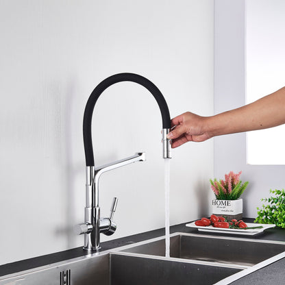 Skorter | Double Outlet Drinking Water Faucet Filtered Kitchen Faucets