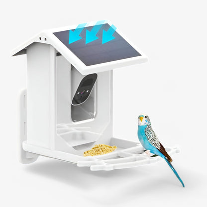 Skorter | Auxco | Smart Bird Feeder with 1080P HD Camera, AI Bird Recognition & Solar Charging