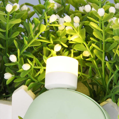 Skorter | 5 Piece Eye Lamp