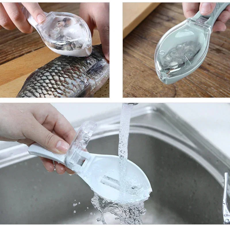 Skorter | Fish Scales Graters Scraper