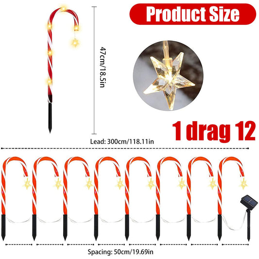 Skorter | Candy Cane Lane LED Solar Lamp