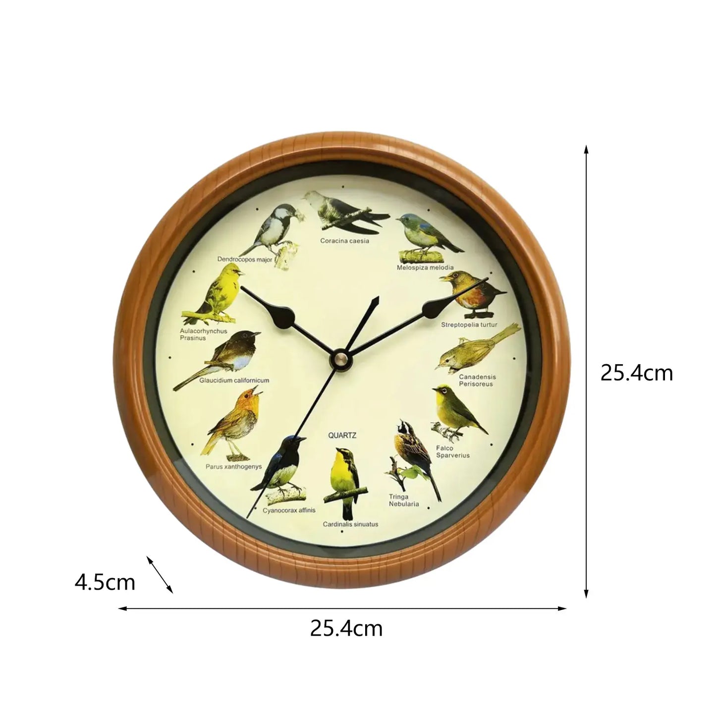 Skorter | VogelZang - 10 Inch Singing Bird Wall Clock for Stylish Home Decor