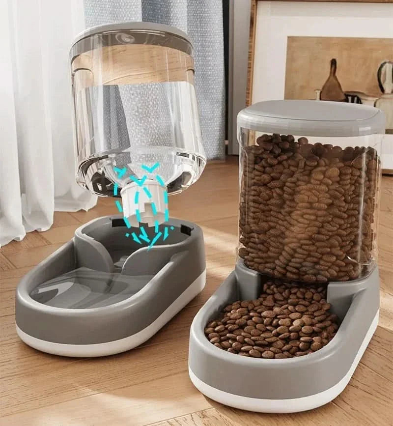 Skorter | FEEDYX - Automatic feeder for pets