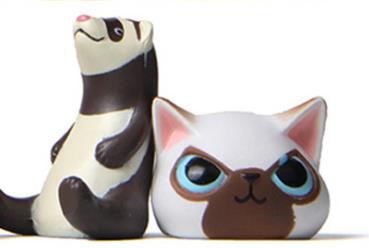 Skorter | Animals dressed as cats