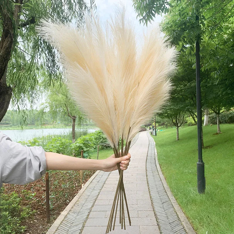 Skorter | 5 pieces 100 cm Artificial Pampas Grass Dried Flower Bouquet Wedding Party Decoration Home Room DIY Artificial Plants Decoration Supplies