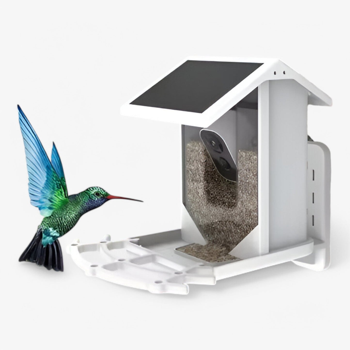 Skorter | Auxco | Smart Bird Feeder with 1080P HD Camera, AI Bird Recognition & Solar Charging