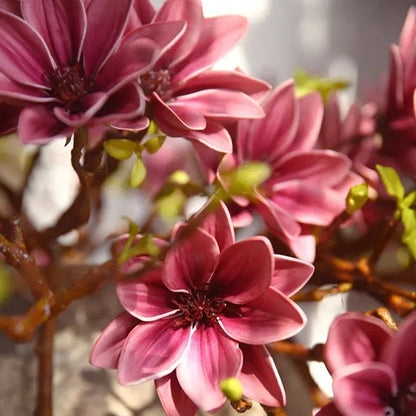 Skorter | Artificial Magnolia Flowers