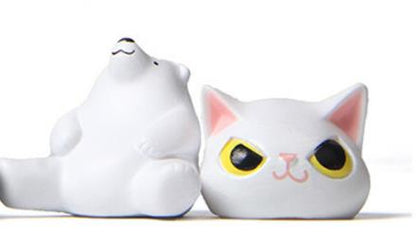 Skorter | Animals dressed as cats