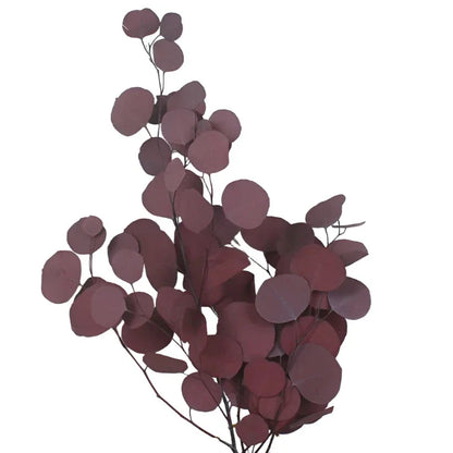 Natural Dry Eucalyptus Leaves - Wedding & Home Decor