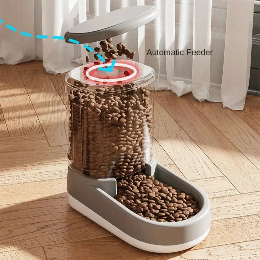 Skorter | FEEDYX - Automatic feeder for pets