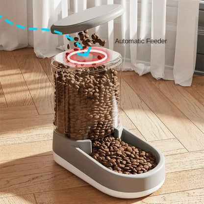 Skorter | FEEDYX - Automatic feeder for pets