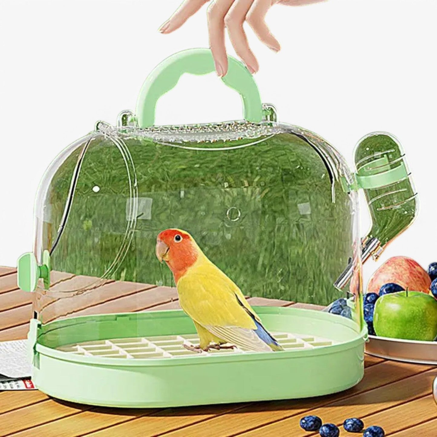 Skorter | Airy Carry Cage "Featherlight" for Small Pets and Birds