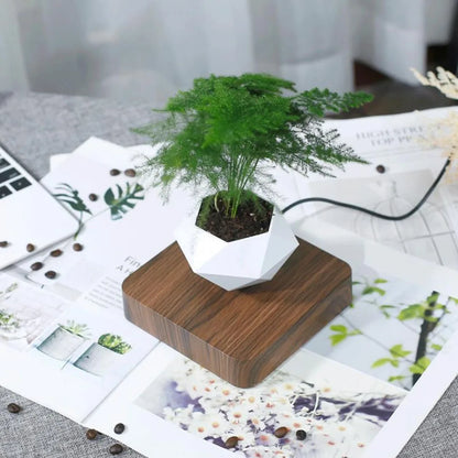 Skorter | Floating Magnetic Bonsai Pot - Floating Rotating Planter for Home Decor