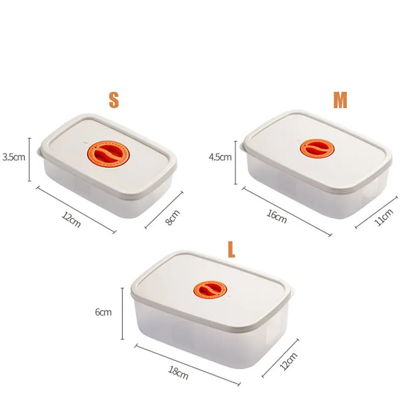 Skorter | Bento Lunchbox – Food container with compartments