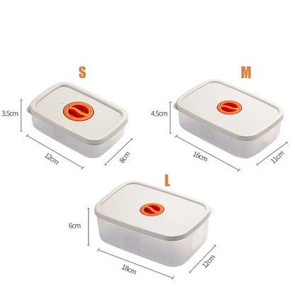 Skorter | Bento Lunchbox – Food container with compartments