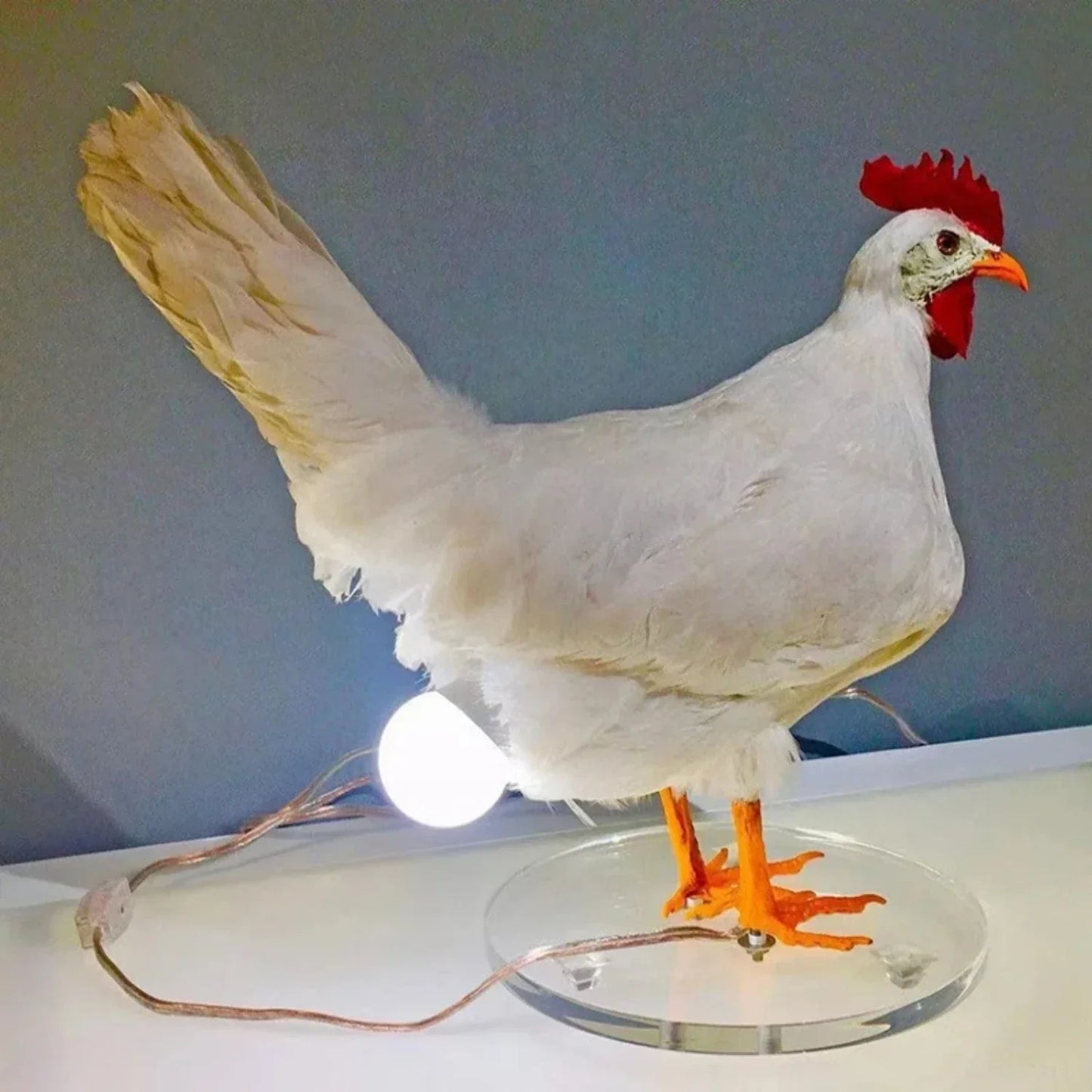 Skorter | Farmhouse Chicken Table Lamp
