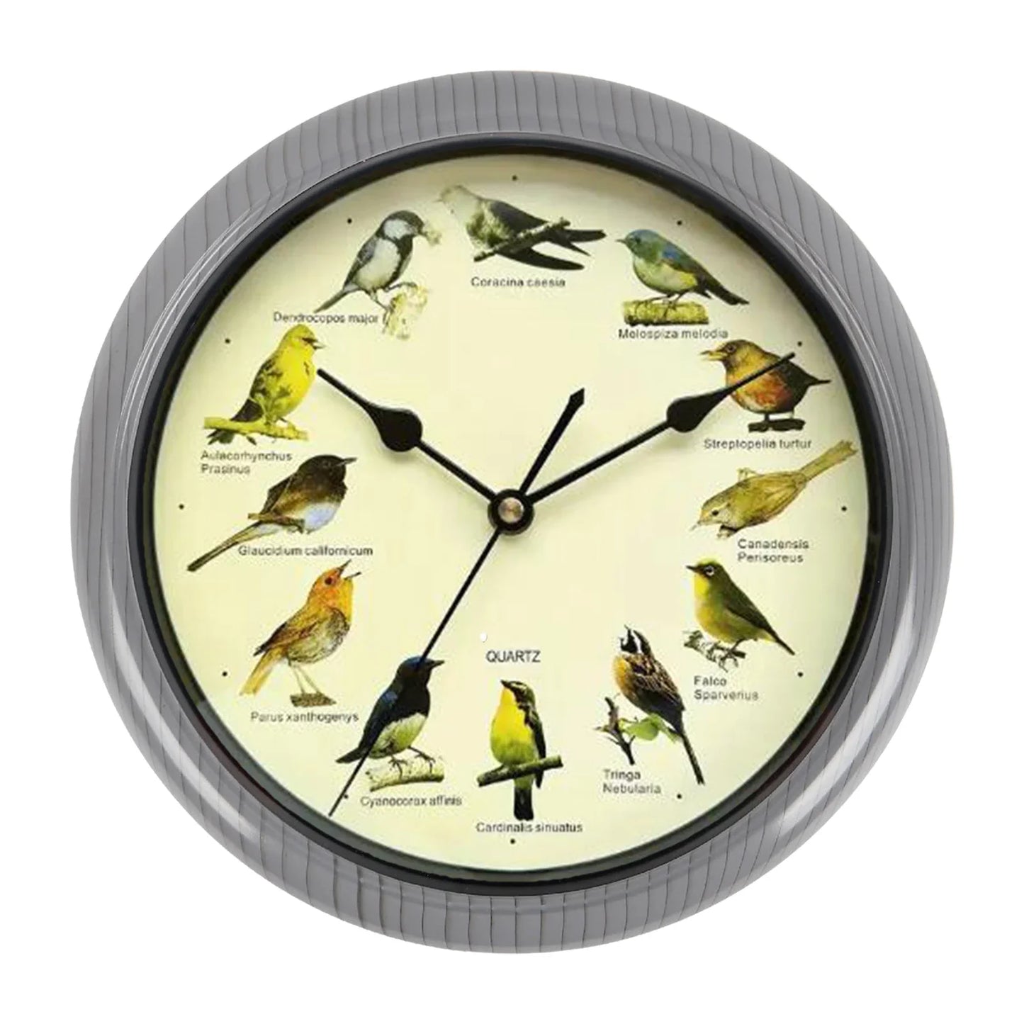 Skorter | VogelZang - 10 Inch Singing Bird Wall Clock for Stylish Home Decor