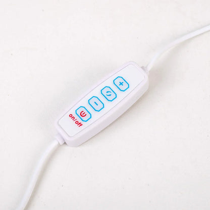 Skorter | AuraStone | Natural Calming Amethyst Serenity Lamp