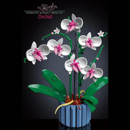 Skorter | Botanical Collection Decor