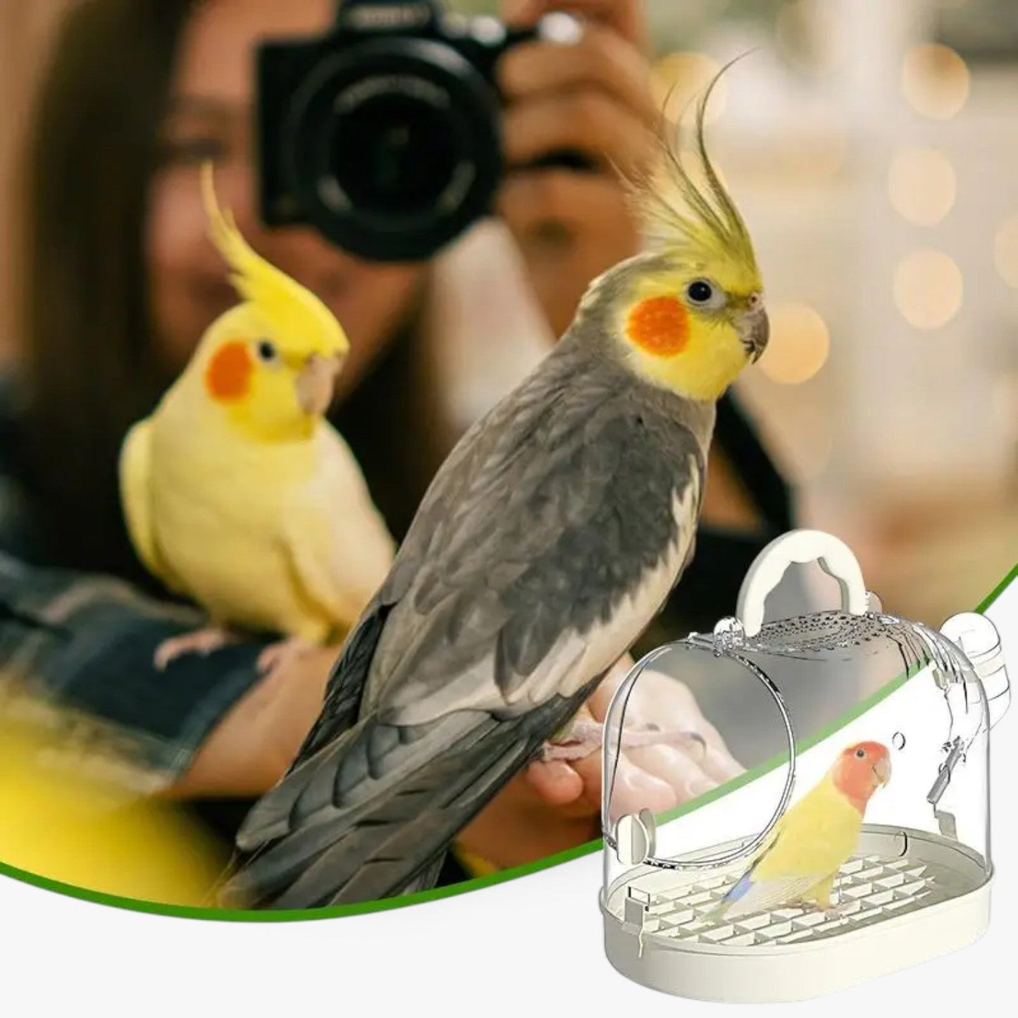 Skorter | Airy Carry Cage "Featherlight" for Small Pets and Birds