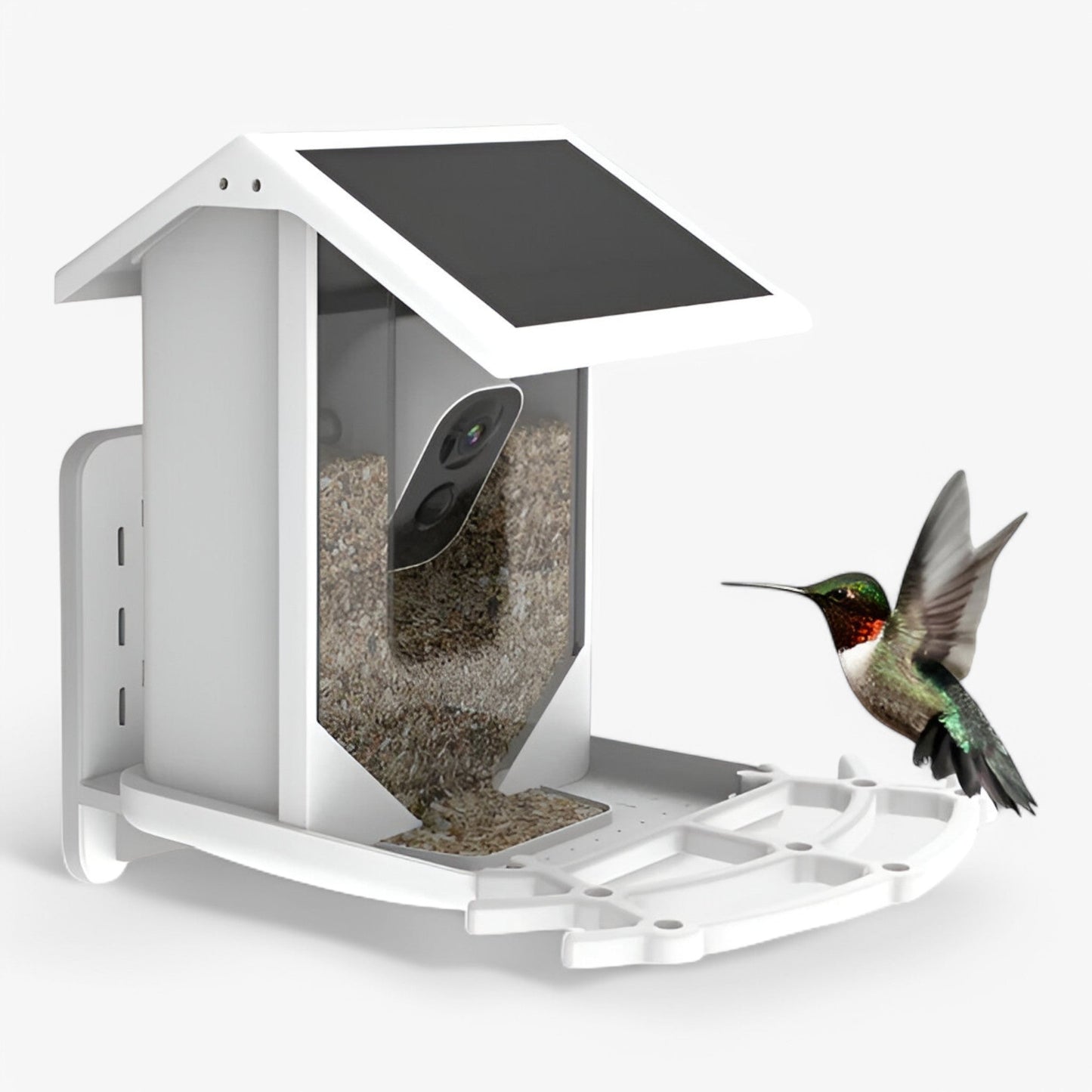 Skorter | Auxco | Smart Bird Feeder with 1080P HD Camera, AI Bird Recognition & Solar Charging