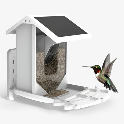 Skorter | Auxco | Smart Bird Feeder with 1080P HD Camera, AI Bird Recognition & Solar Charging