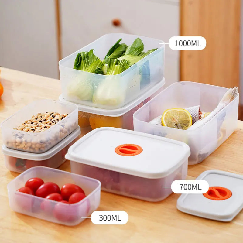 Skorter | Bento Lunchbox – Food container with compartments