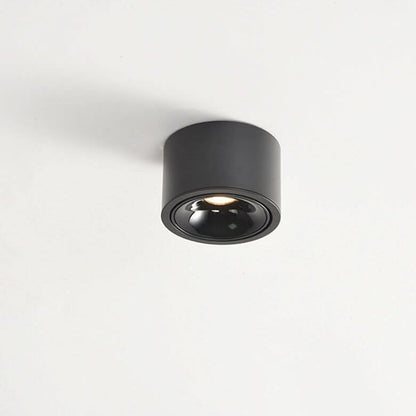 Skorter | Adjustable LED Flush Mount Ceiling Spotlight