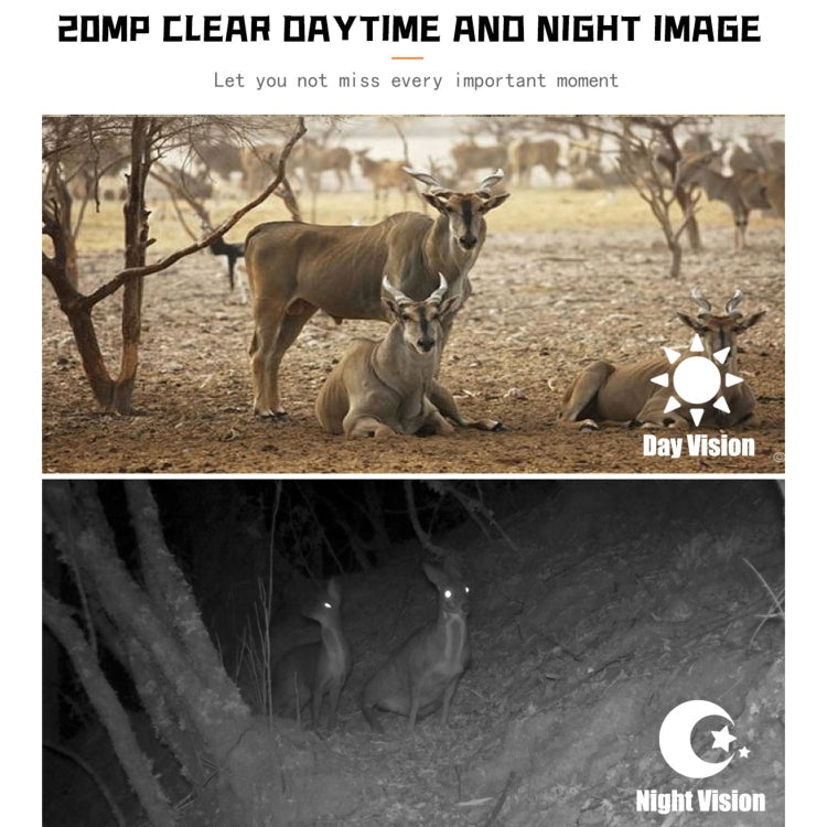Skorter | PR700 1080P Wildlife Hunting Camera Motion Activated Night Vision Camcorder for Outdoor Tracking Scan Trigger