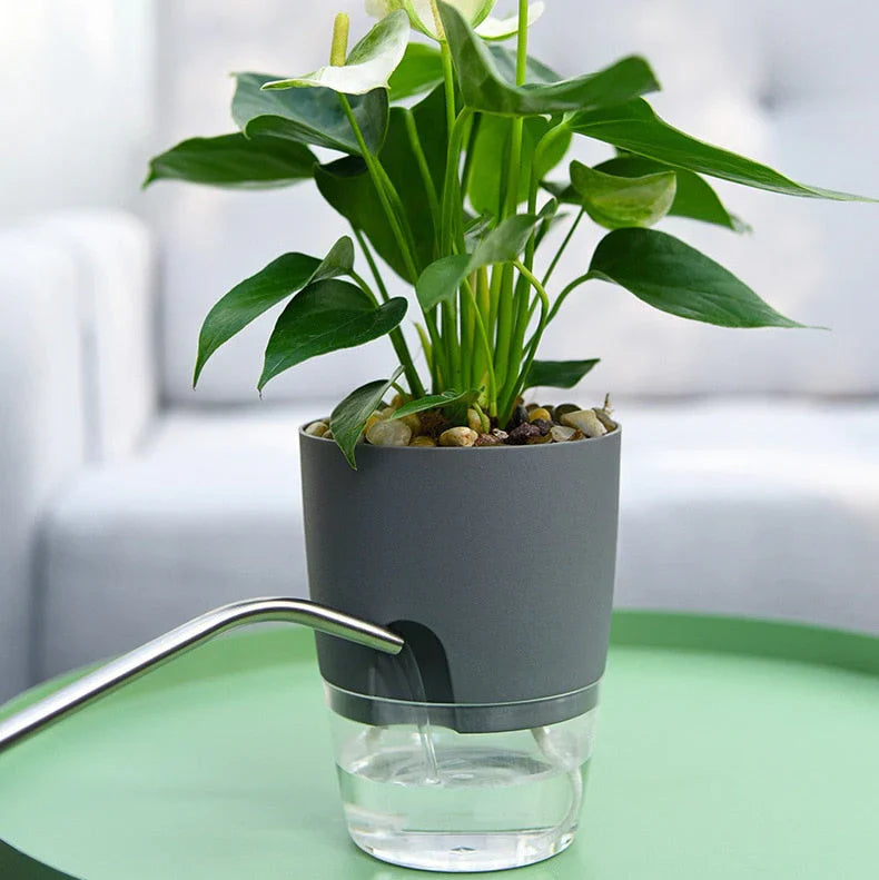 Skorter | Automatic watering pot